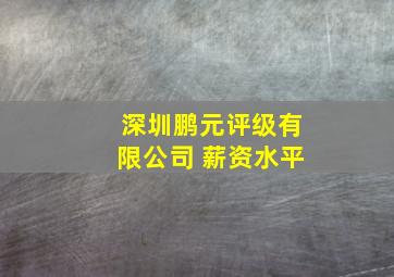 深圳鹏元评级有限公司 薪资水平